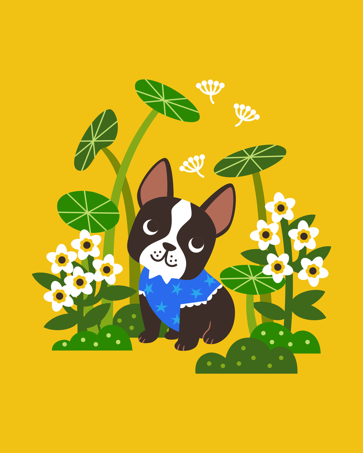 Boston Terrier in the Garden