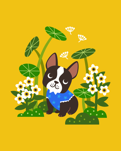 Boston Terrier in the Garden