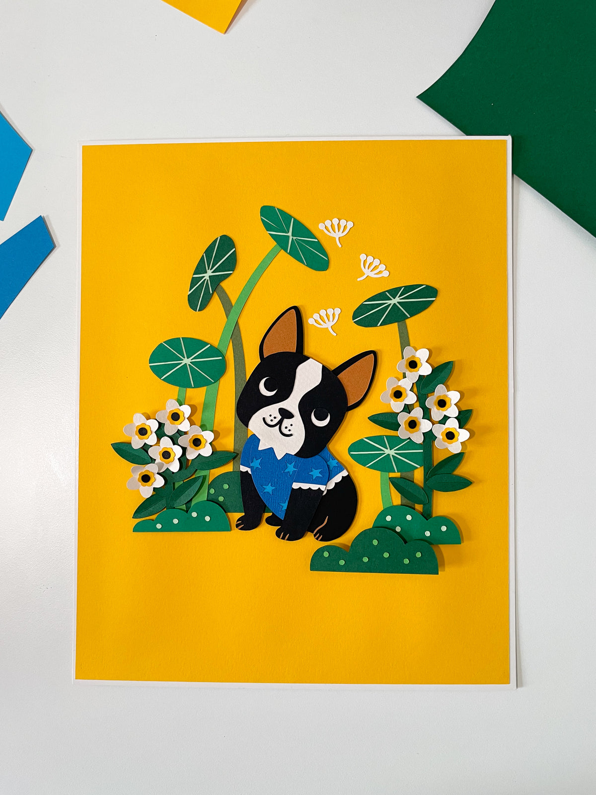 Boston Terrier in the Garden