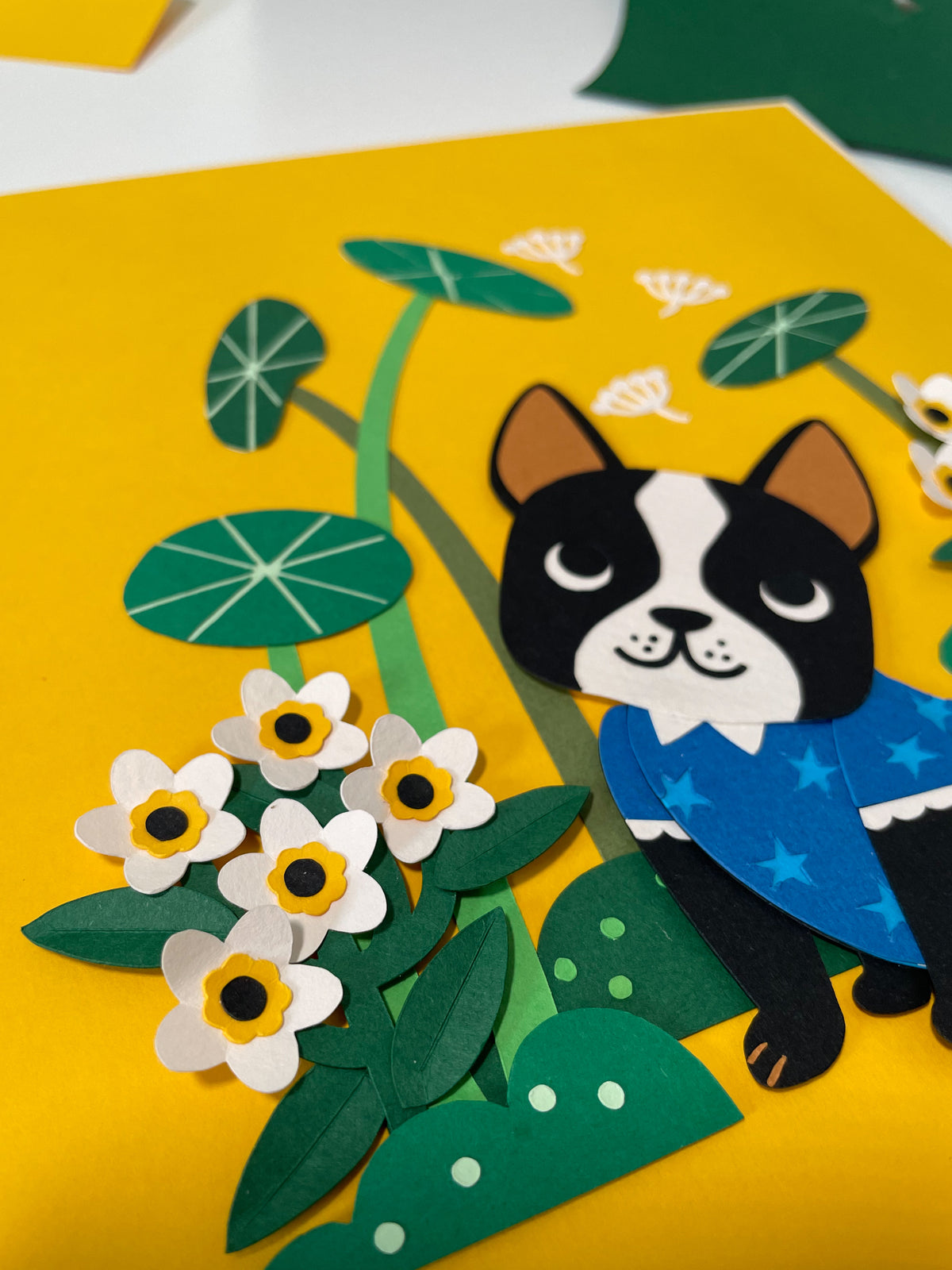 Boston Terrier in the Garden